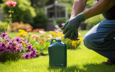 Unleash the Potential of Diesel Exhaust Fluid: A Revolutionary Lawn Care Secret